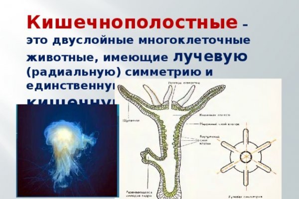 Кракен не работает сайт