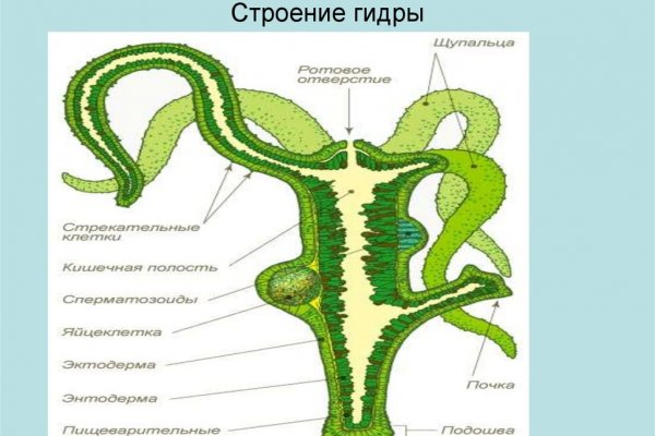 Каталог сайтов даркнет