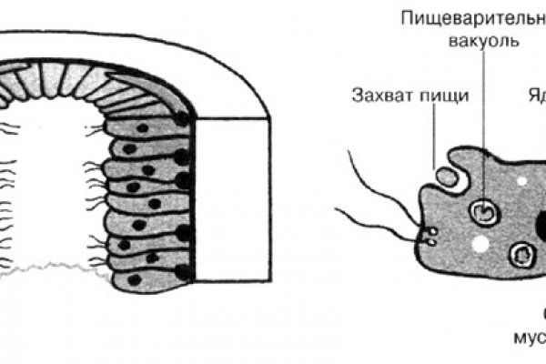 Как заказать на кракене